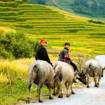 Du lịch Sapa tự túc A Z
